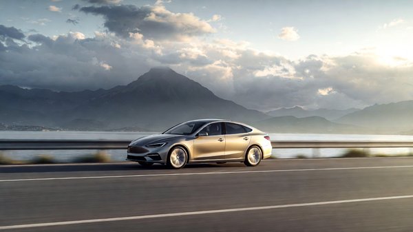 Mma assurance auto vs amv : quel choix pour les amateurs de mma en 2026